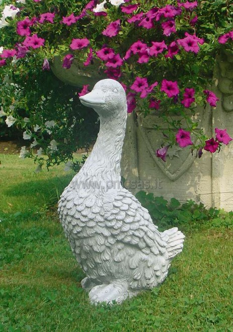 aquila cemento