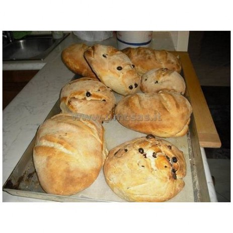 forno a legna prefabbricato